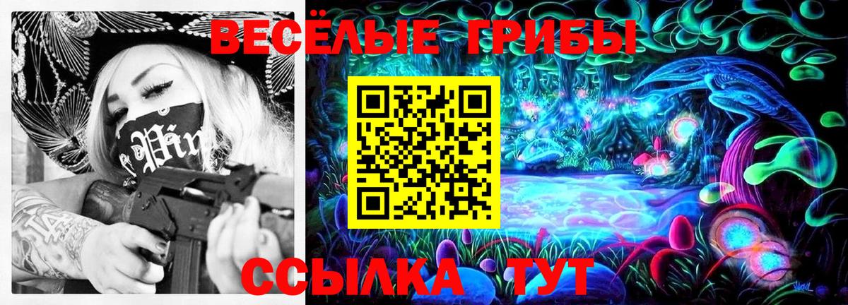 Бийск  Псилоцибиновые грибы MAGIC MUSHROOMS  Вход с VPN 